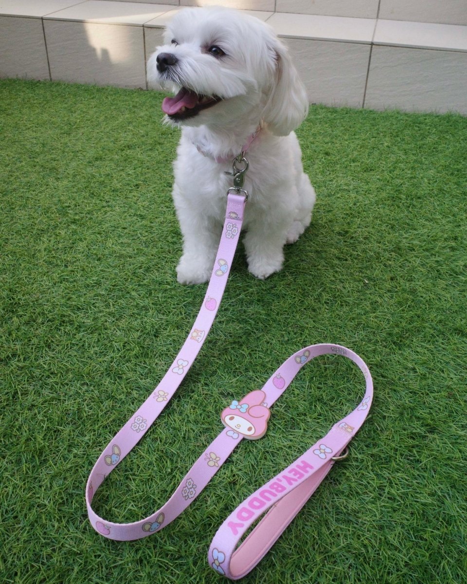 【MY MELODY】カラー - HEY,BUDDY