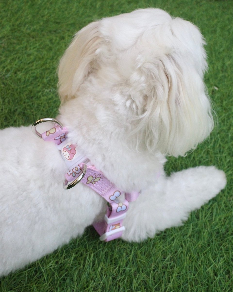 【MY MELODY】ハーネス - HEY,BUDDY