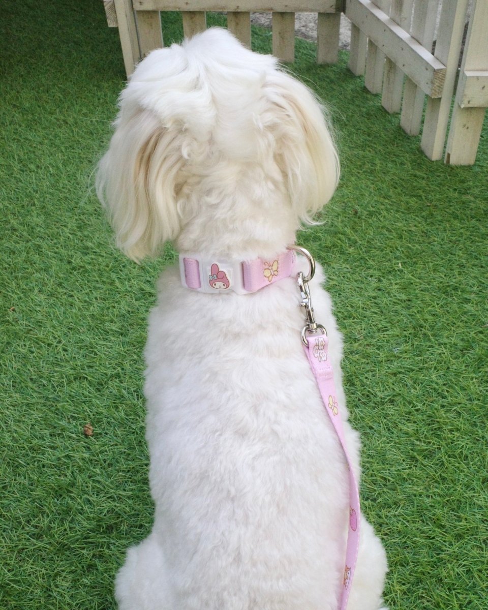 【MY MELODY】カラー - HEY,BUDDY