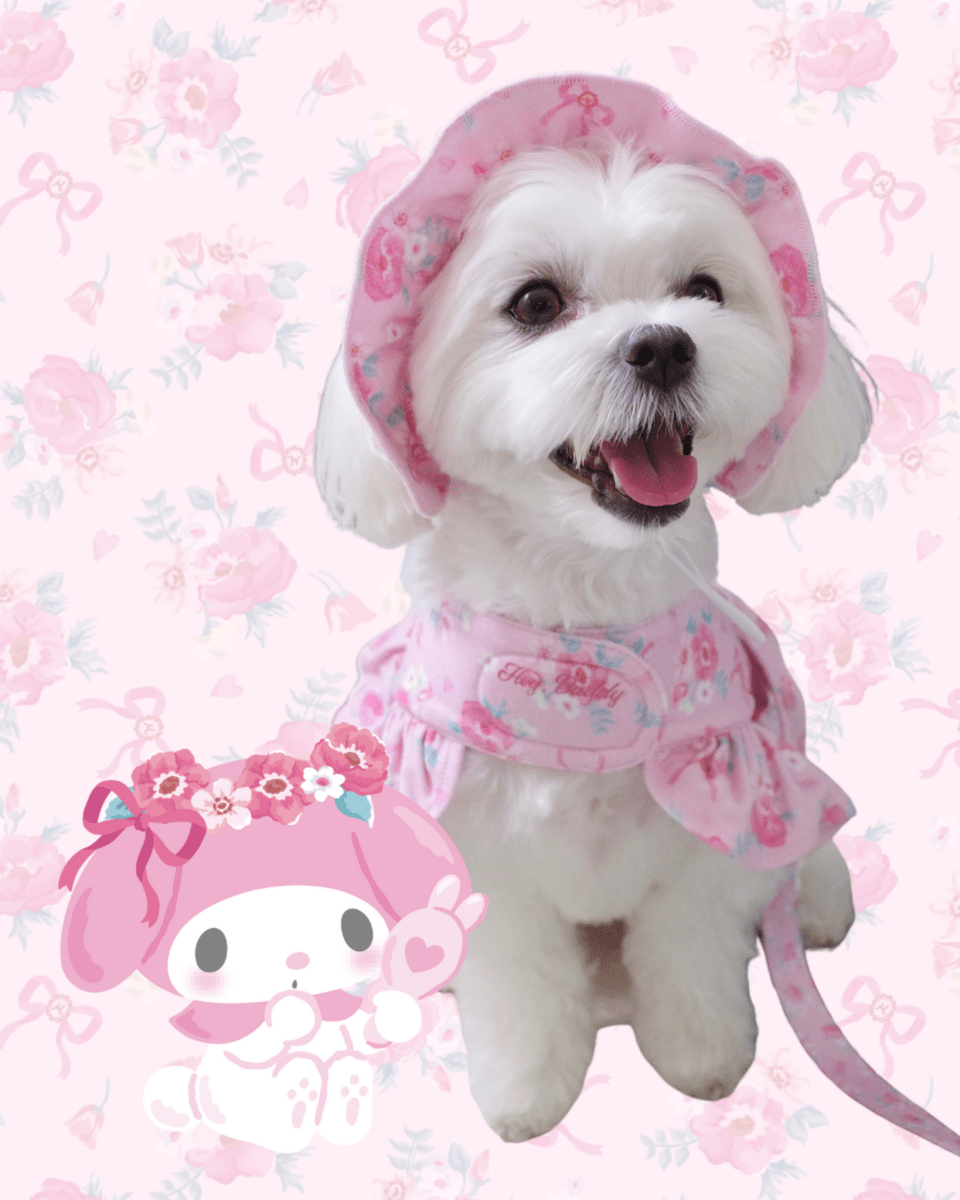 【MY MELODY】flower shoulder leash - HEY,BUDDY