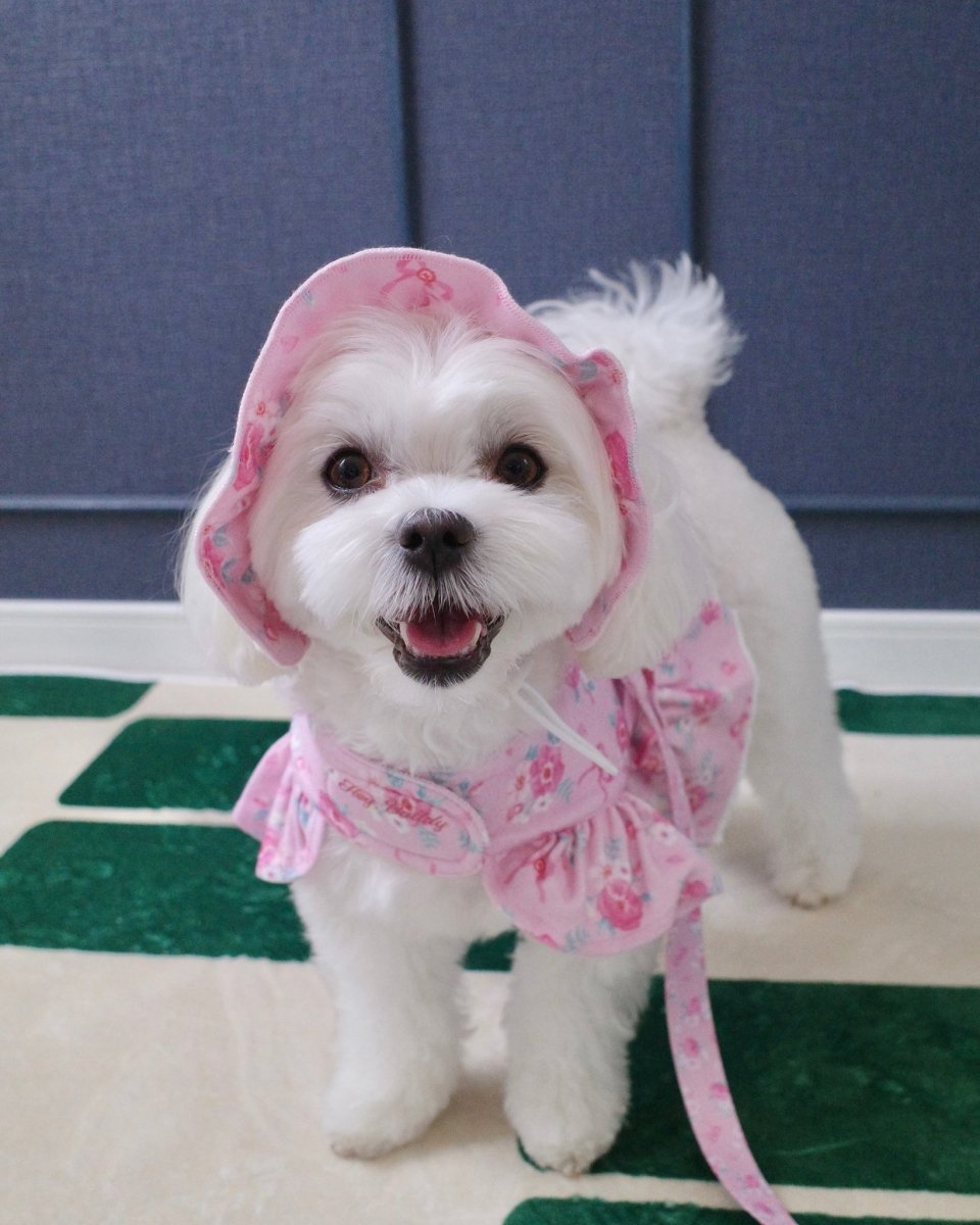 【MY MELODY】flower shoulder leash - HEY,BUDDY