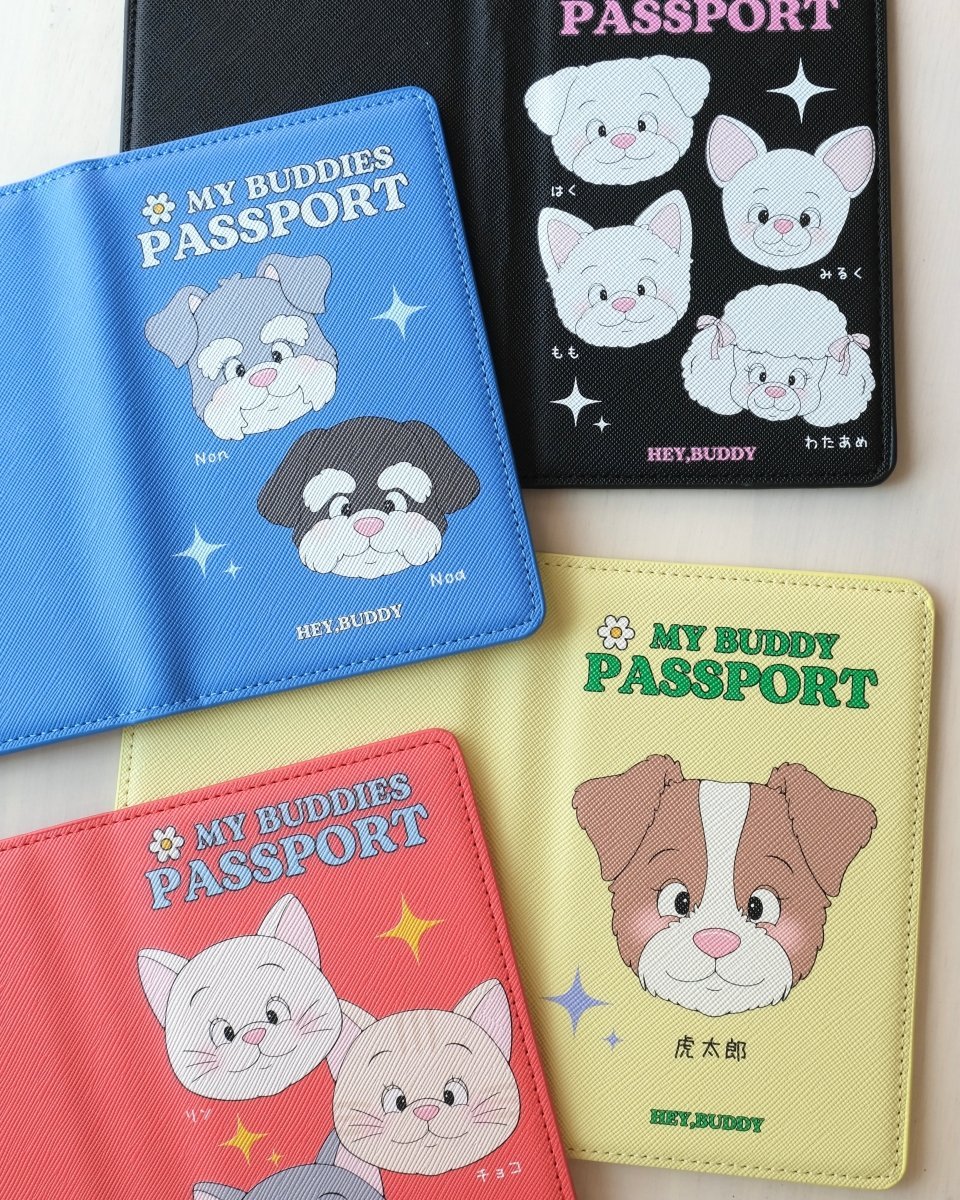 PASSPORT - crayon - HEY,BUDDY