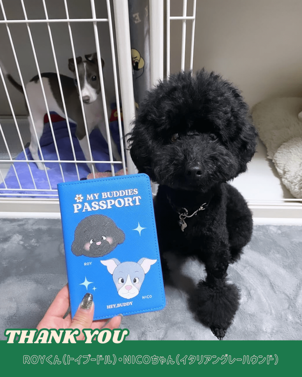 PASSPORT - crayon - HEY,BUDDY