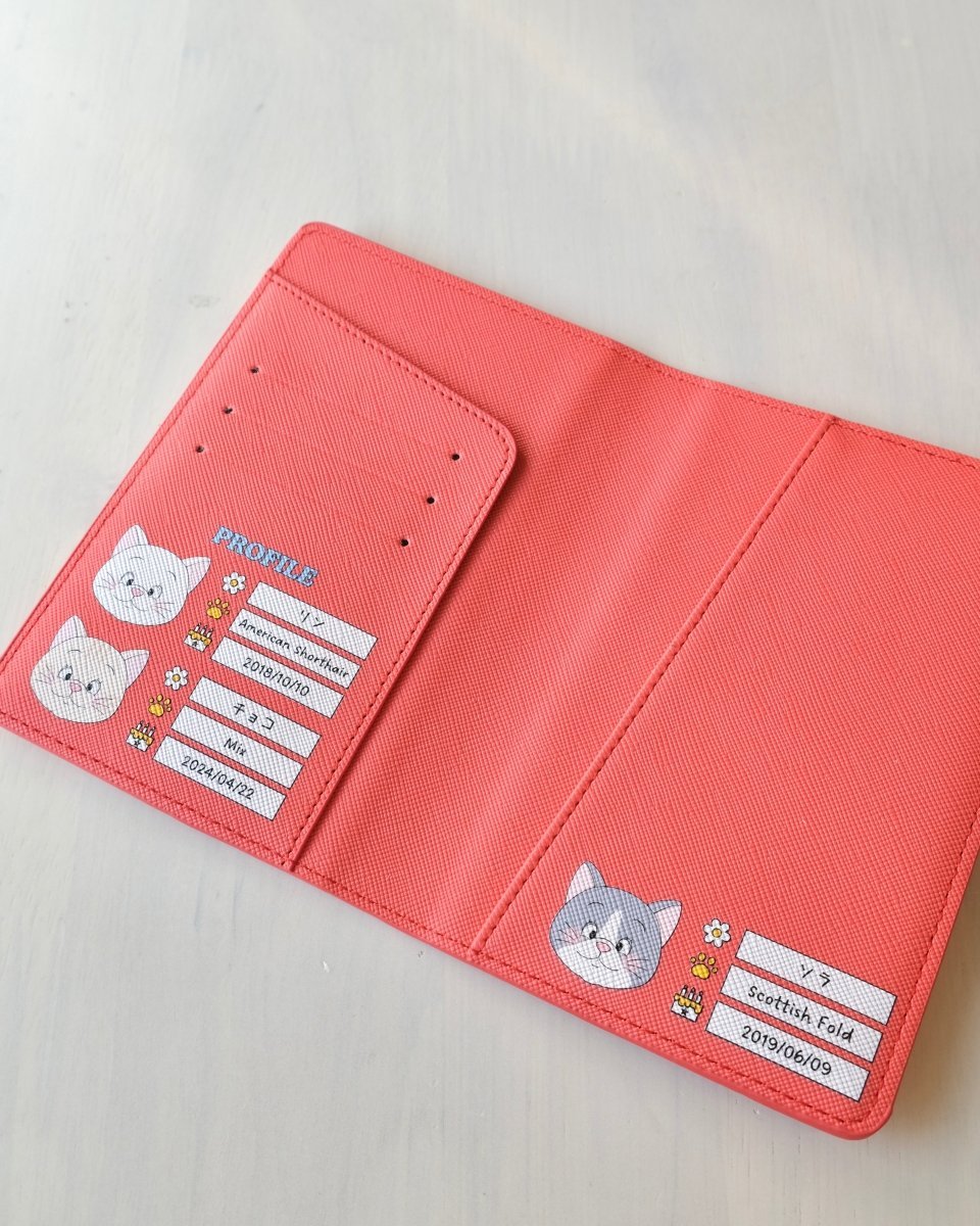 PASSPORT - crayon - HEY,BUDDY