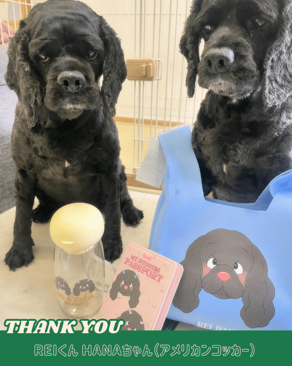 PASSPORT - floral - HEY,BUDDY