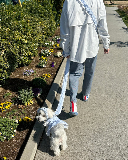 pastel lace 2way leash - HEY,BUDDY