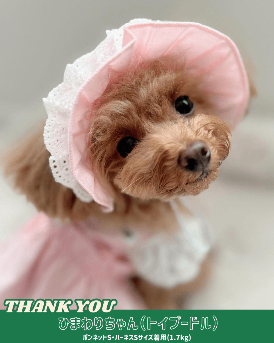 pastel lace bonnet - HEY,BUDDY