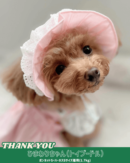 pastel lace bonnet - HEY,BUDDY