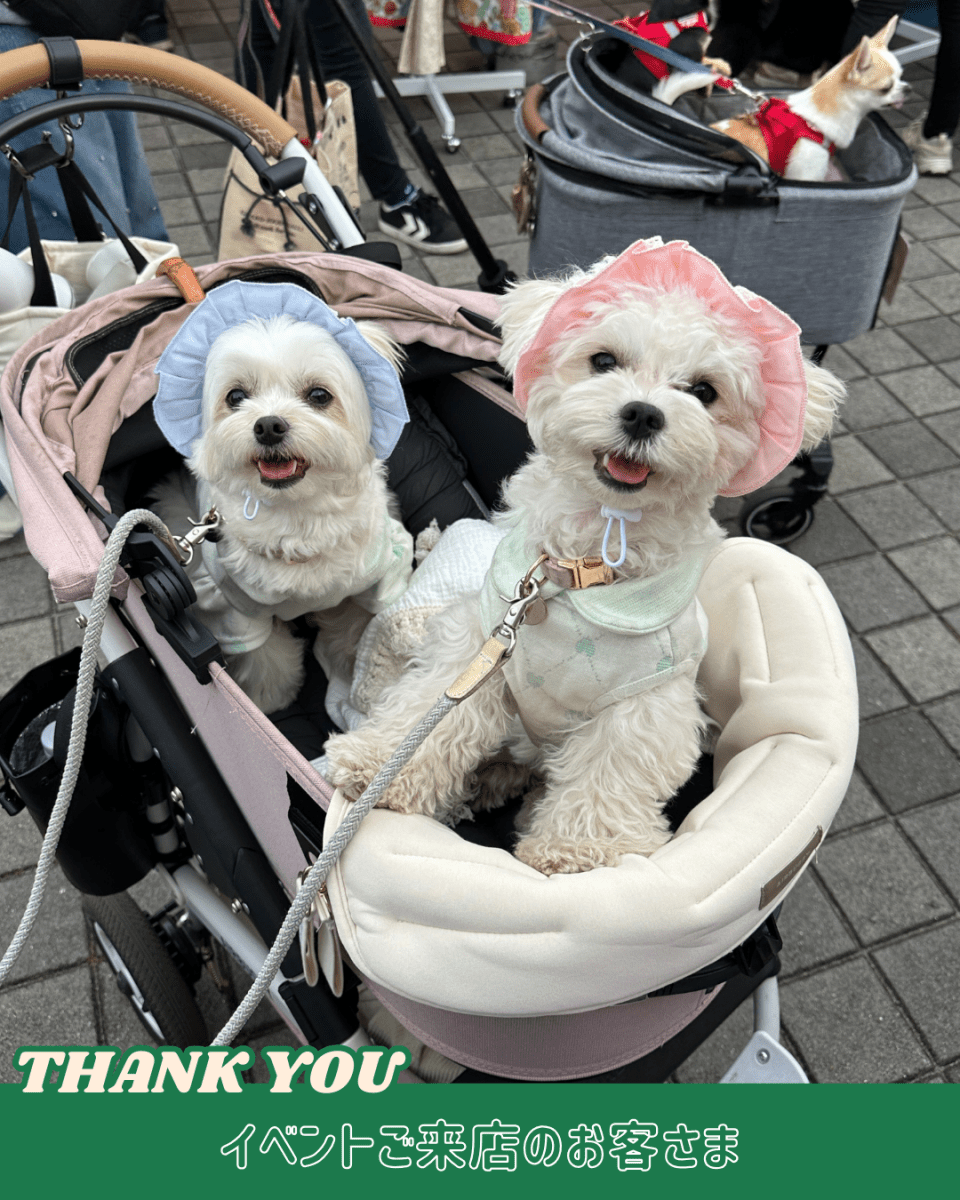 pastel lace bonnet - HEY,BUDDY