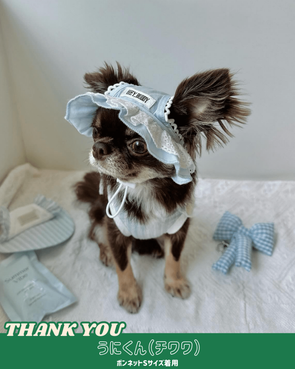 pastel lace bonnet - HEY,BUDDY