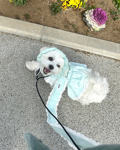 pastel lace harness - HEY,BUDDY