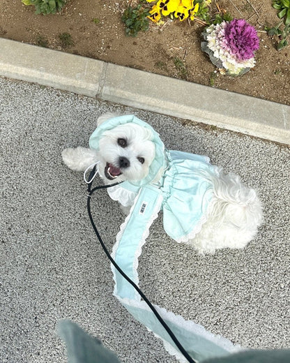 pastel lace harness - HEY,BUDDY
