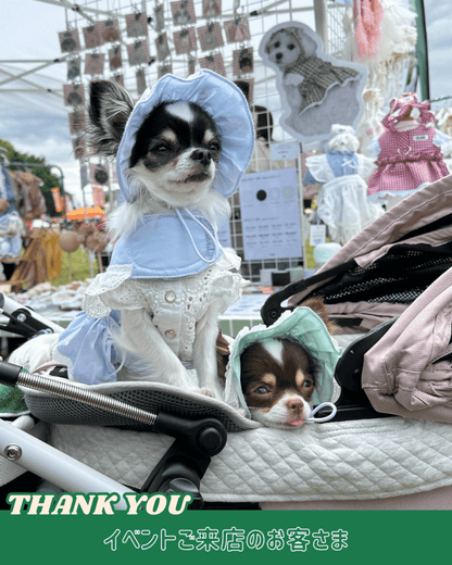 pastel lace harness - HEY,BUDDY