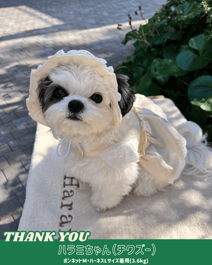 pastel lace harness - HEY,BUDDY