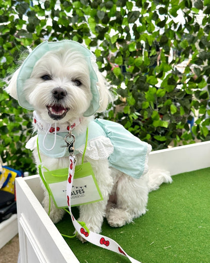 pastel lace harness - HEY,BUDDY