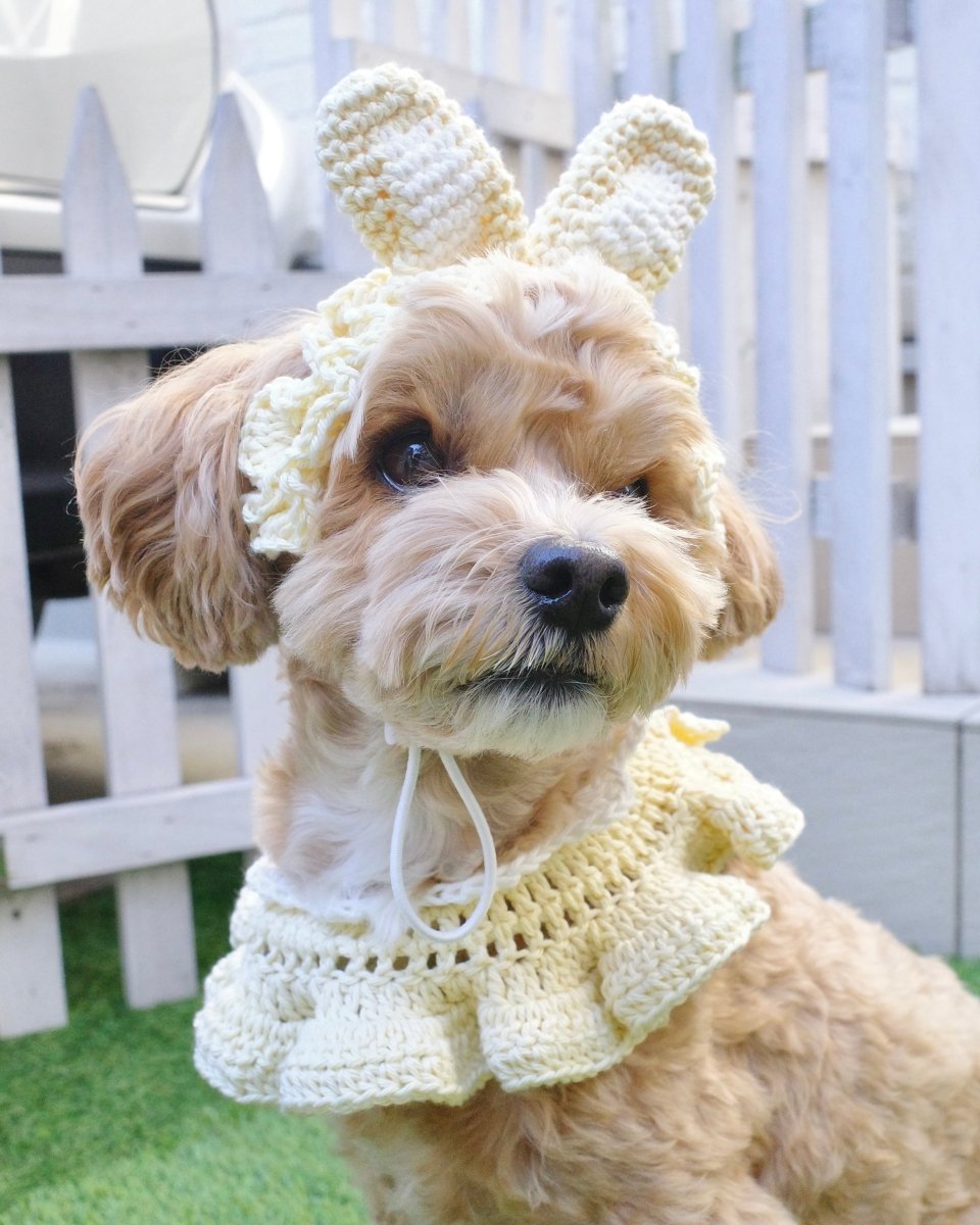 スプリングセット（ケープ＆カチューシャ） - HEY,BUDDY