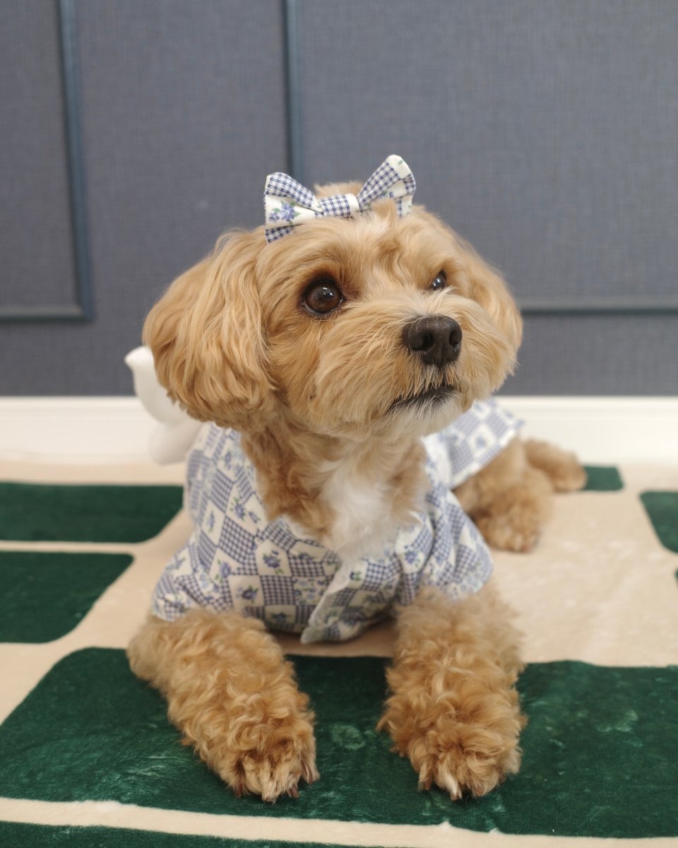 レトロなパッチンコームピン - HEY,BUDDY