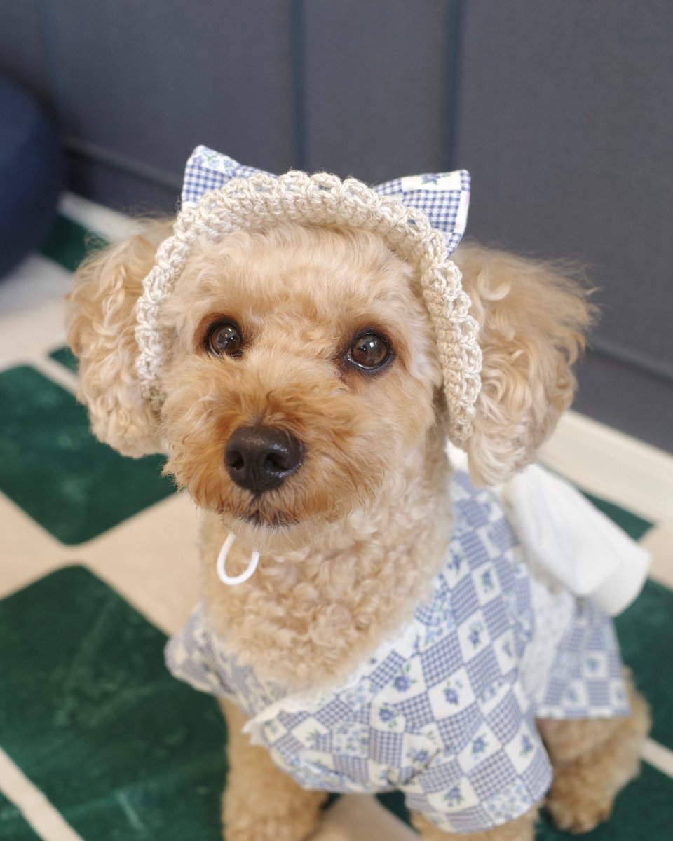 レトロなハット - HEY,BUDDY