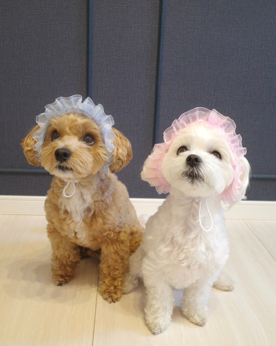 マーメイドハット - HEY,BUDDY