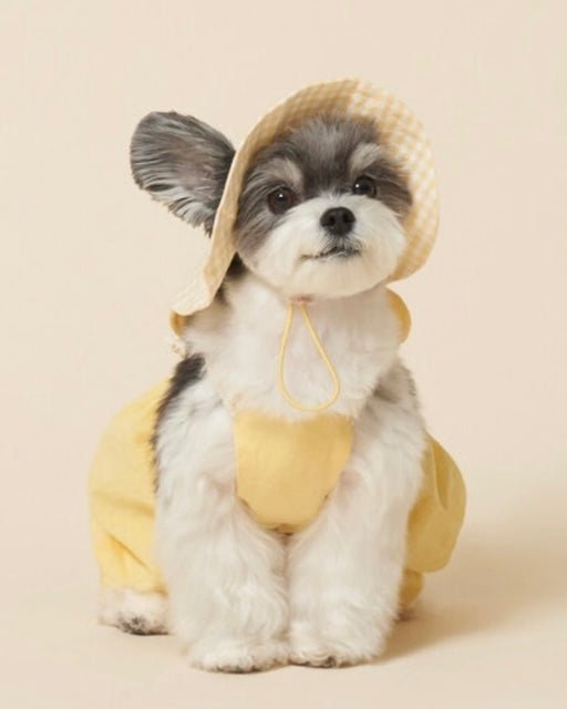 パンプキンパンツ - HEY,BUDDY