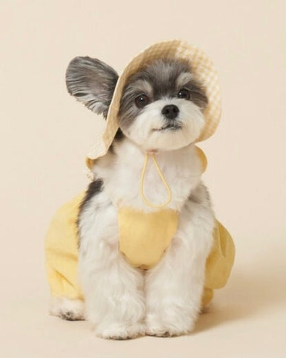 パンプキンパンツ - HEY,BUDDY