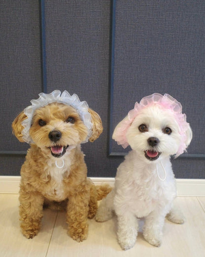 マーメイドハット - HEY,BUDDY