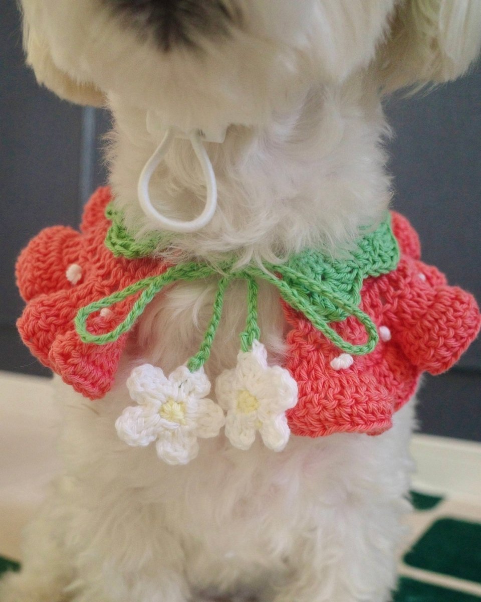 いちごちゃんケープ - HEY,BUDDY