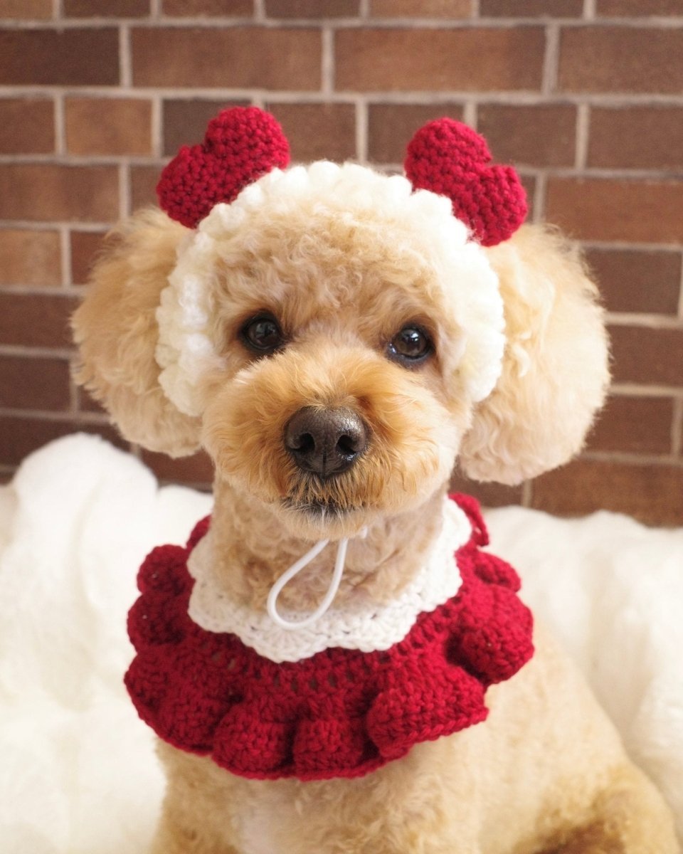 襟付きホイップケープ - HEY,BUDDY