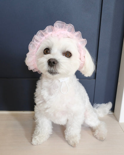 マーメイドハット - HEY,BUDDY