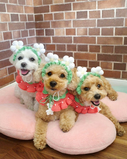 いちごちゃんセット（ケープ＆カチューシャ） - HEY,BUDDY