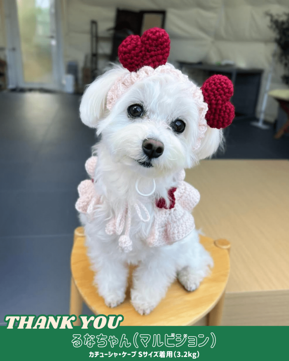 襟付きホイップケープ - HEY,BUDDY