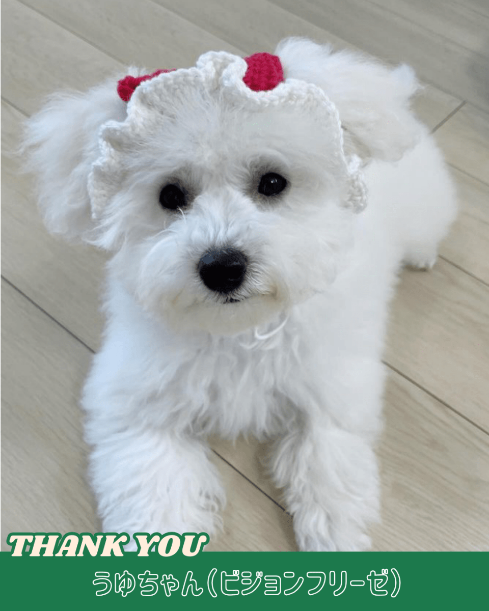 リボンのお帽子 - HEY,BUDDY