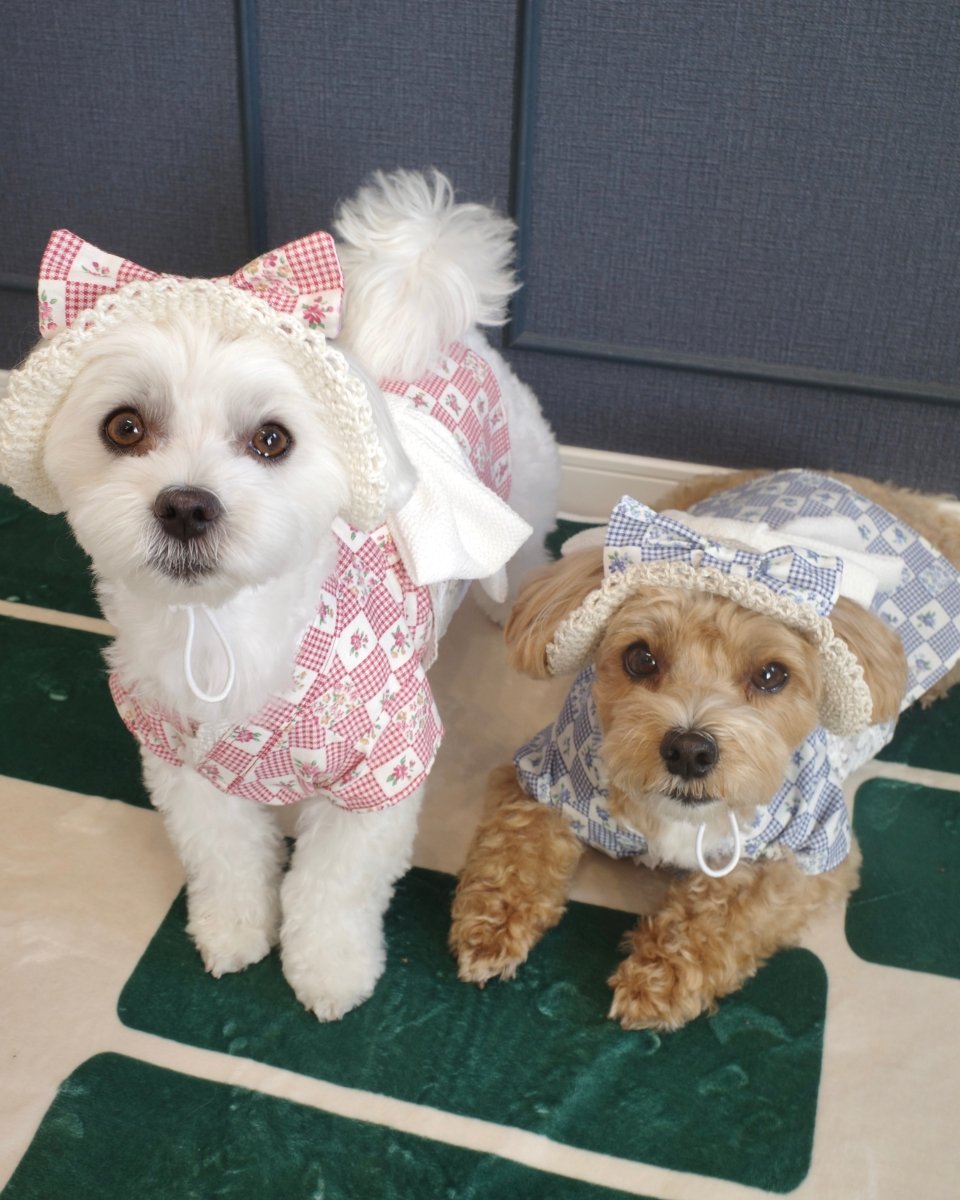 レトロなハット - HEY,BUDDY