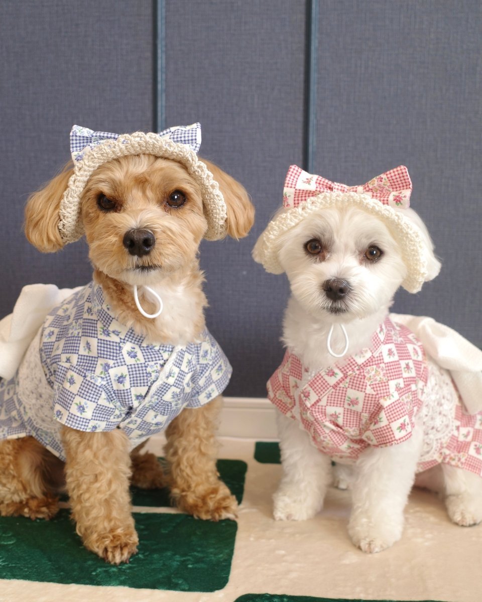 レトロなハット - HEY,BUDDY