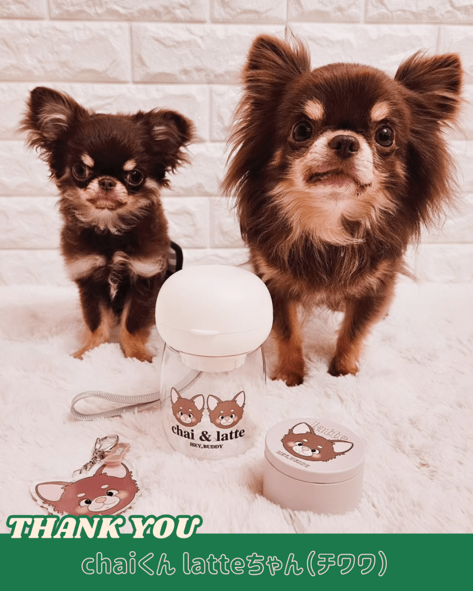 ビッグアクリルキーホルダー - HEY,BUDDY