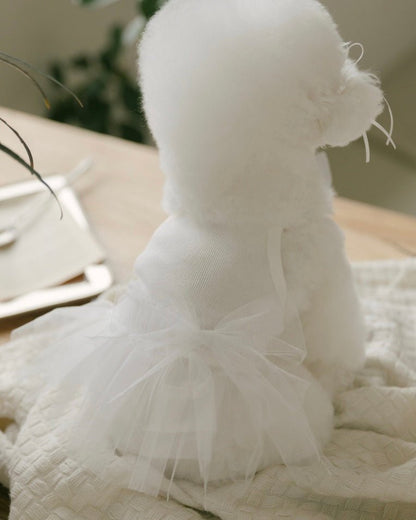 チュチュドレス - HEY,BUDDY