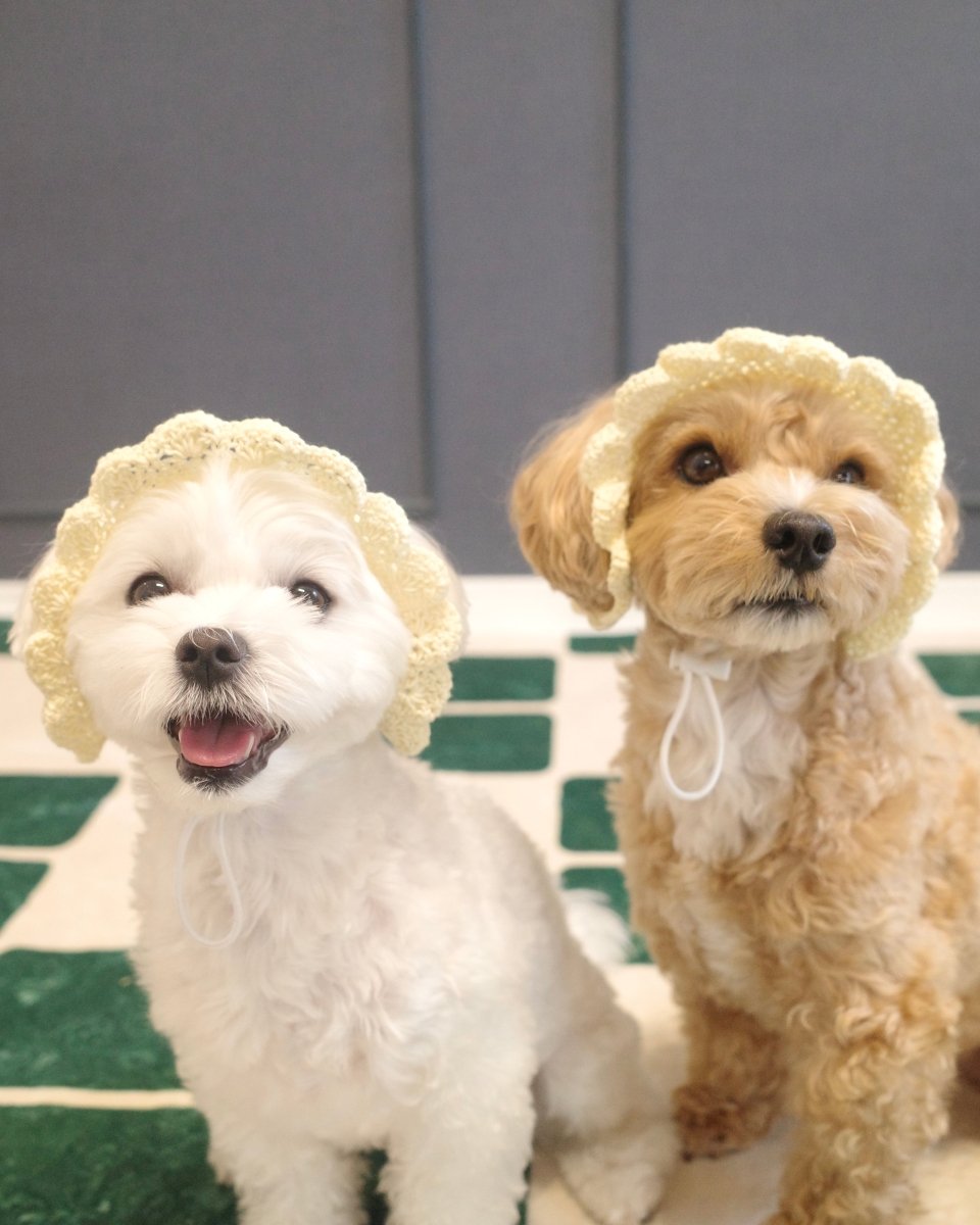 ひまわりハット - HEY,BUDDY