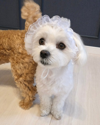 マーメイドハット - HEY,BUDDY