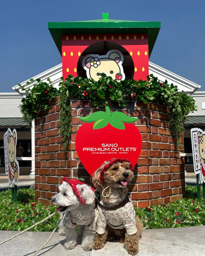 いちごちゃんハット - HEY,BUDDY