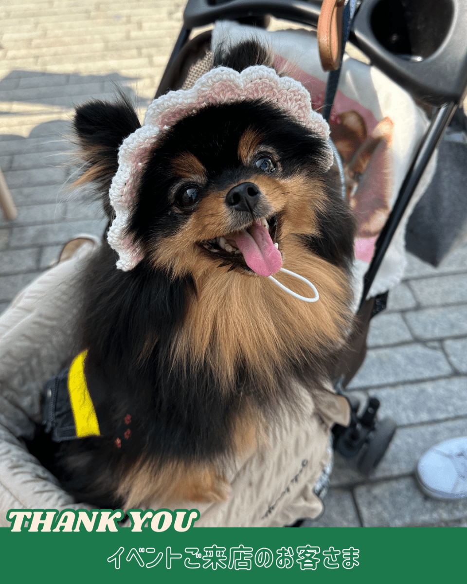 パステルフリルハット - HEY,BUDDY