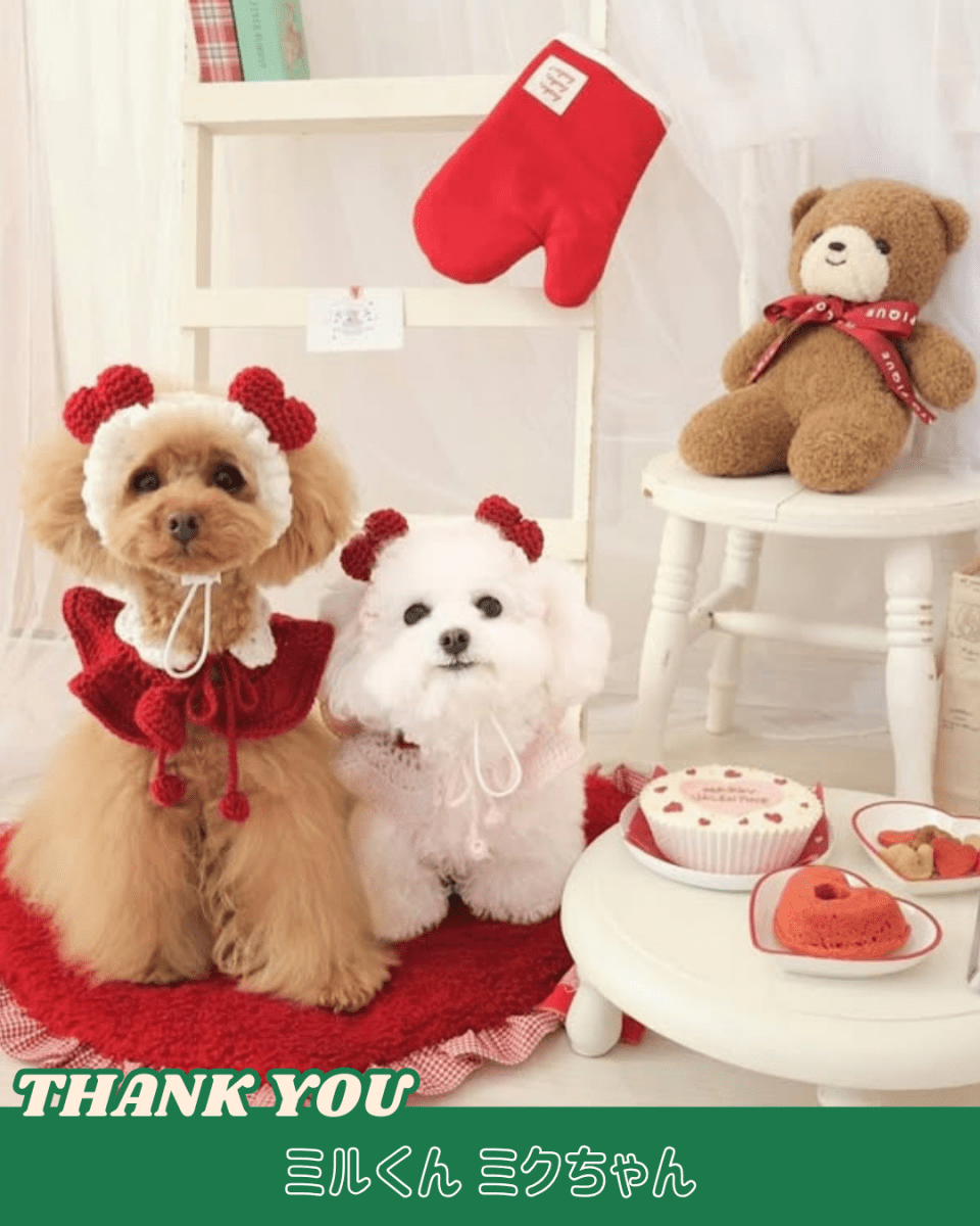 襟付きホイップケープ - HEY,BUDDY