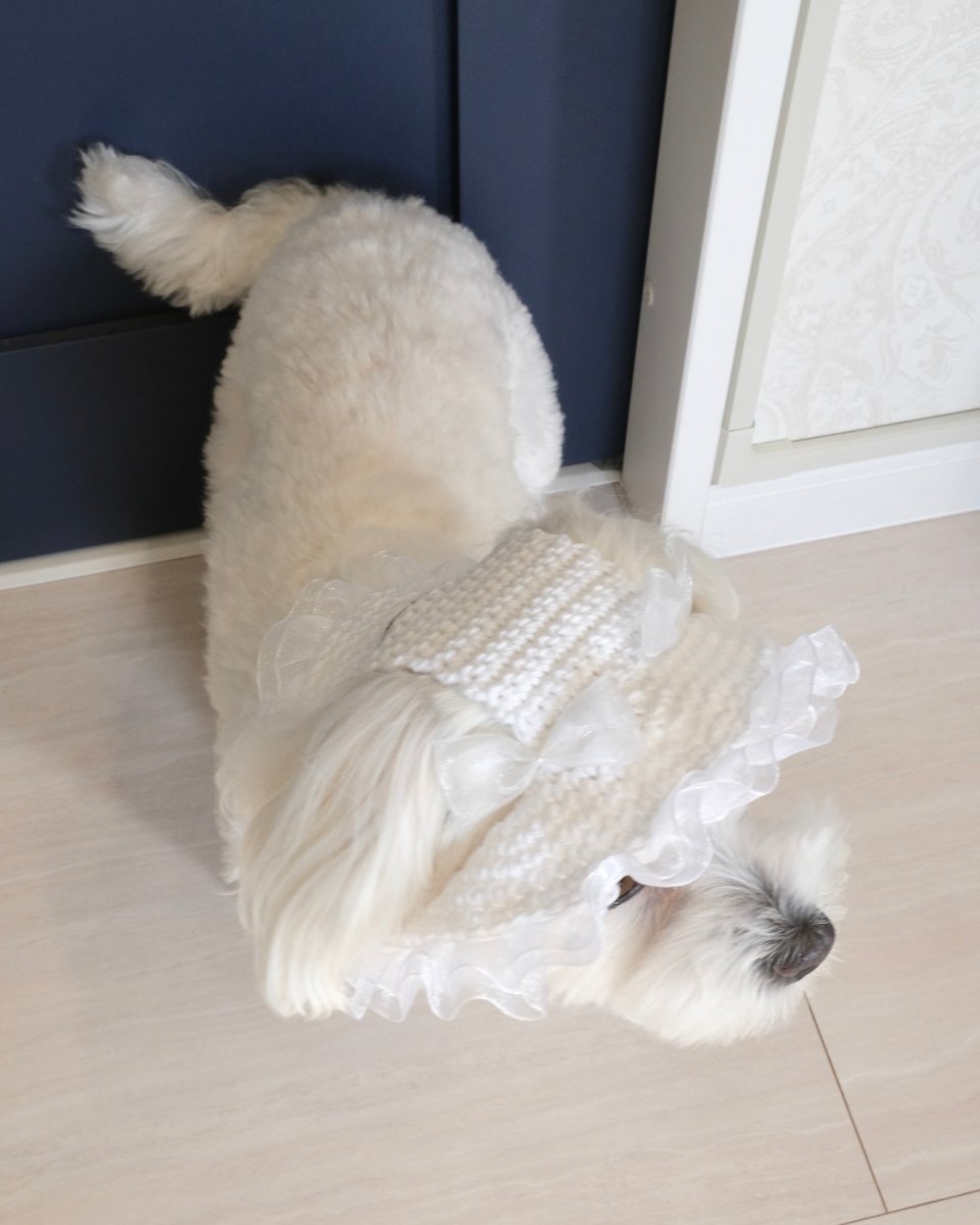 マーメイドハット - HEY,BUDDY