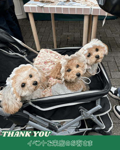 パステルフリルハット - HEY,BUDDY