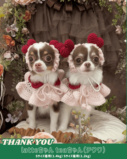 襟付きホイップケープ - HEY,BUDDY