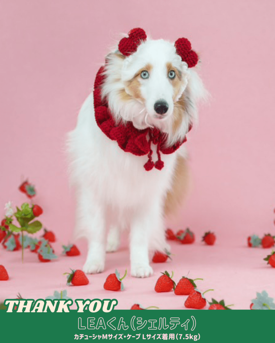 ホイップセット（ケープ＆カチューシャ） - HEY,BUDDY