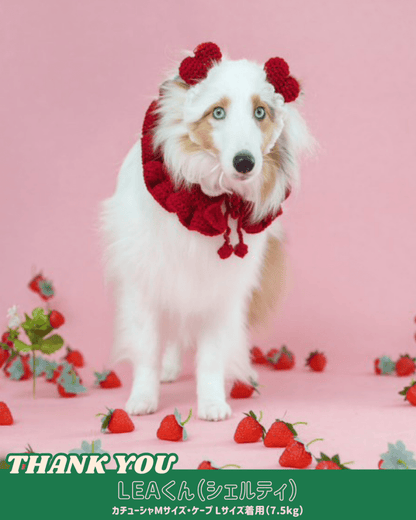 ホイップセット（ケープ＆カチューシャ） - HEY,BUDDY