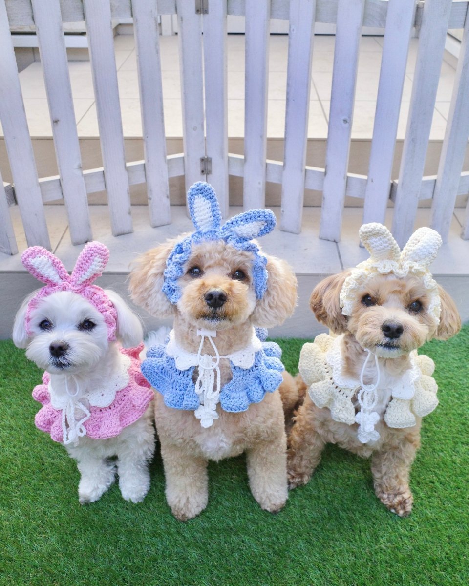 スプリングセット（ケープ＆カチューシャ） - HEY,BUDDY