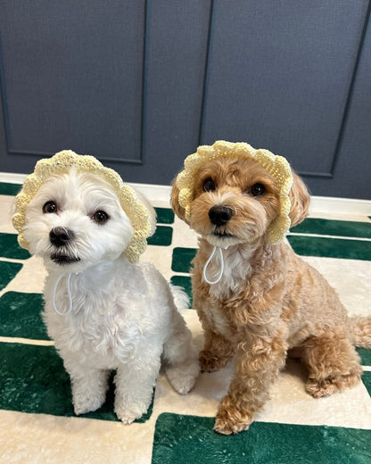 ひまわりハット - HEY,BUDDY