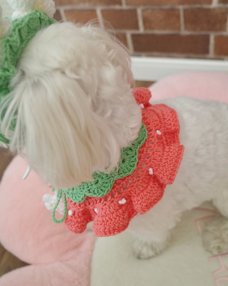 いちごちゃんセット（ケープ＆カチューシャ） - HEY,BUDDY