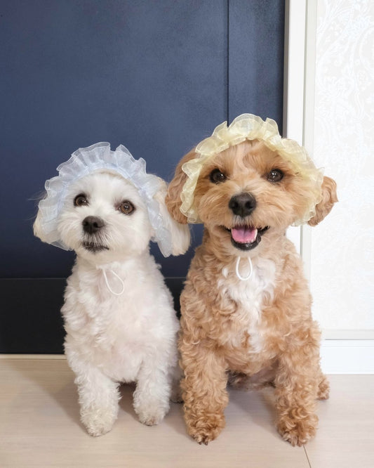 マーメイドハット - HEY,BUDDY